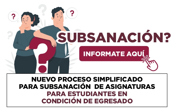 Subsanacion Egresante